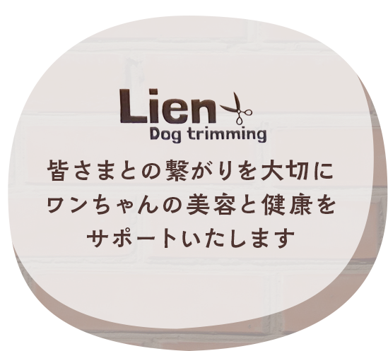 Lien-Dog trimming 皆さまとの繋がりを大切に、ワンちゃんの美容と健康をサポートいたします